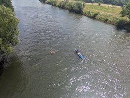 Mainschwimmen Juni 2026